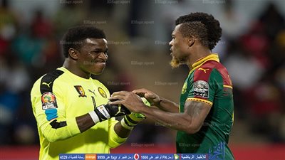 القنوات المفتوحة الناقلة لمواجهة الكاميرون وغانا