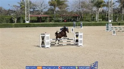 انتهاء منافسات الدرجة الخامسة بكأس مصر لقفز الحواجز (صور)