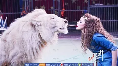 نهائي بطولة أمم إفريقيا يُجبر السيرك القومى على تغيير مواعيده