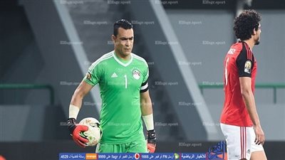 أبوزيد عن عودة 