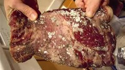 مباحث التموين تضبط 2.5 طن لحوم فاسدة بالجيزة