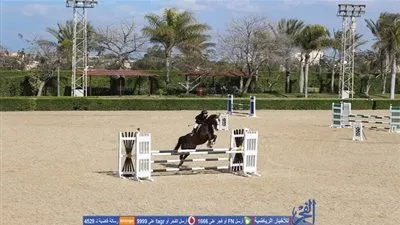 انطلاق منافسات اليوم الثاني من كأس مصر لقفز الموانع 