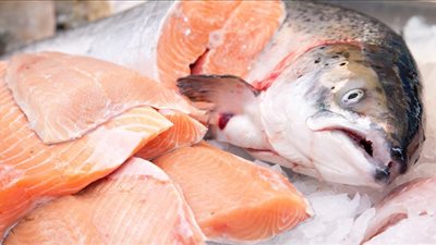 نصائح للحفاظ على الفوائد الغذائية للسمك.. تعرفي عليها