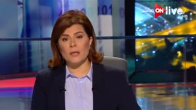 أماني الخياط عن المصري منفذ حادث اللوفر: 