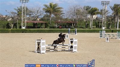 انطلاق منافسات اليوم الأخير من كأس مصر لقفز الموانع