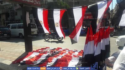 شوارع السويس تتزين بأعلام مصر استعداداً لنهائي إفريقيا (صور)