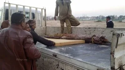 أول صور للمقبرة التي عثر عليها في جبل الطارف بنجع حمادي