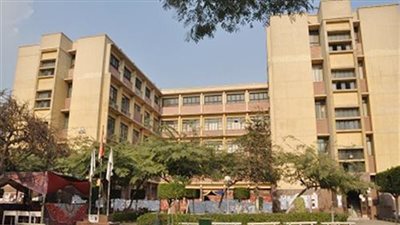 بدء العمل بمعهد الدراسات البردية والنقوش