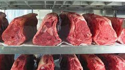 ضبط 500 كيلو لحوم فاسدة قبل بيعها للمواطنين بالجيزة