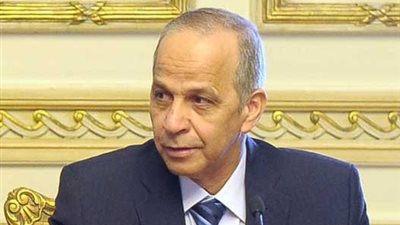 محافظ الوادي الجديد: 