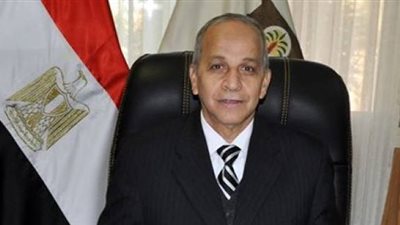 محافظ الوادي الجديد لـ