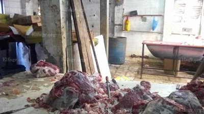 ضبط كميات من اللحوم الفاسدة داخل مصنع بسطرمة في الإسكندرية (صور)