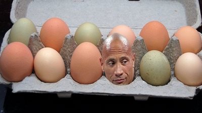 ماذا يأكل المصارع 