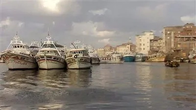 رئيس ميناء دمياط: 26 سفينة متركية بأرصفة الميناء 