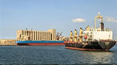 رئيس ميناء دمياط : 