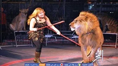 السيرك القومي ينهي تجديداته نهاية الشهر الجاري.. ويواصل عروضه في معرض الكتاب