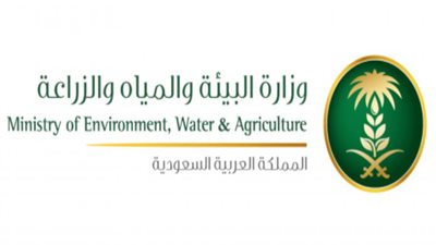 الزراعة: ما أشيع عن دخول حيوانات مريضة بـ 