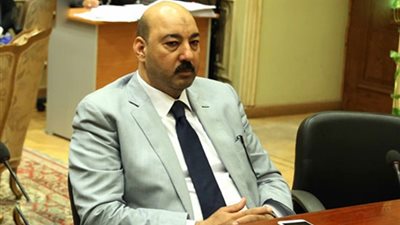 منى عراقي تواجه برلمانيا بمستندات تجريف أراض.. والأخير: 