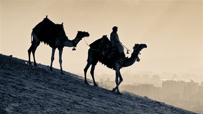 من أسرار الهجرة النبوية الشريفة