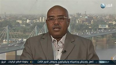 محلل: أزمة جنوب السودان نزاع بين جيوش غير نظامية