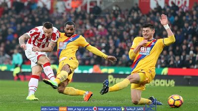 مدافع كريستال بالاس ينفذ مرماه من هدف مؤكد أمام ستوك سيتي (فيديو)