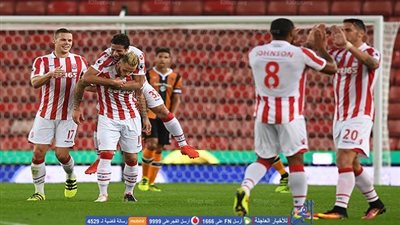 هدف ستوك سيتي في كريستال بالاس من صناعة رمضان صبحي (فيديو)