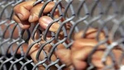 الأموال العامة تضبط أصحاب شركة وهمية للسفريات بالدقهلية 