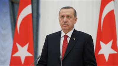 أردوغان: لا يمكن إقامة منطقة آمنة في سوريا دون إعلان منطقة حظر جوي