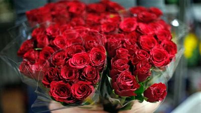 دار الإفتاء المصرية توضح حكم الاحتفال بـ