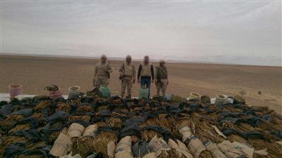 القبض علي 8 تكفيريين وحرق وتدمير7 مزرعة حشيش بسيناء