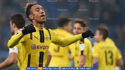 دوري الأبطال .. التشكيلة الرسمية لموقعة بنفيكا وبوروسيا دورتموند   