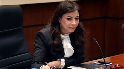 محمد الغيطي يكشف سبب استبعاد داليا خورشيد من الحكومة