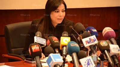 وزيرة الاستثمار السابقة تتبرع براتب 11 شهرا لصندوق تحيا مصر