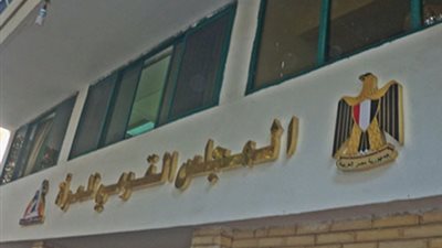 القومي للمرأة بدمياط يستعد للمجلس العام المرأة المصرية