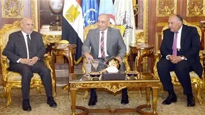 المجلس الأعلى الليبي يبدي استعداده الفوري للحوار حول نتائج اجتماعات القاهرة