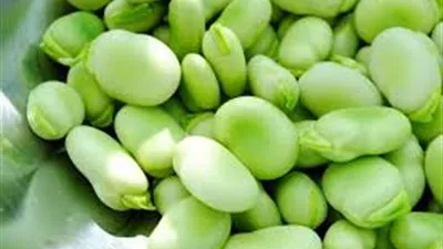 تعرفي على فوائد الفول الأخضر