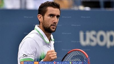 سيليتش وثييم وبرديتش في ربع نهائي روتردام للتنس