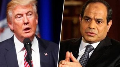 أبوالغيط: تدخل السيسي 