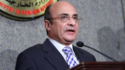 وزير شؤون  مجلس النواب: التقيت 