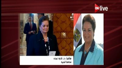 محافظ البحيرة: ضخ 550 مليون متر مكعب من الغاز قبل 30 يونيو