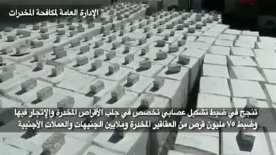 الداخلية تحبط تهريب 75 مليون قرص مخدر وعملات أجنبية (فيديو)