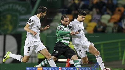 الدوري البرتغالي.. سبورتينج لشبونة يهزم  ريو آفي بهدف 