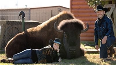 بدلا من القط.. زوجان يربيان 