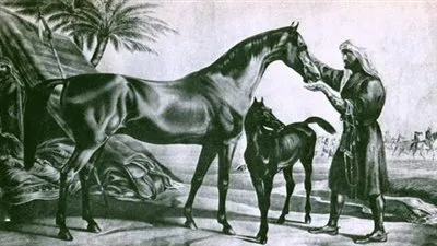 تعرف على قصة صديقة العرب في الاسلام 