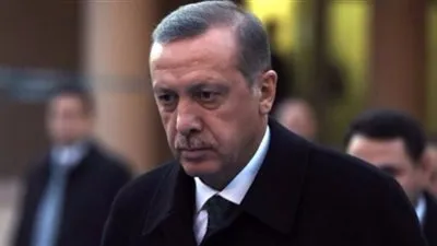 اليسار الألماني ينتقد الحكومة بعد تنظيم فعالية للترويج للتعديل الدستوري التركي