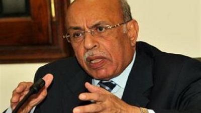 مفيد شهاب:  الأمة العربية تلاقي ضربات ومؤامرت مستمرة