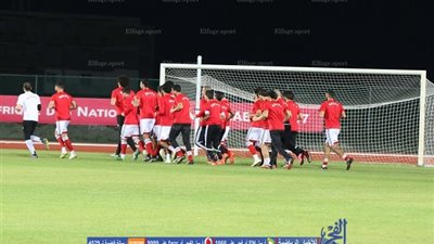 بنين تعرض اللعب وديا.. ومنتخب مصر يؤجل الجسم