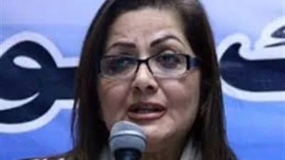 وزيرة التخطيط تبحث مع محافظ المركزى سبل دعم المشروعات الصغيرة