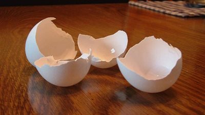 شاهد.. لهذه لأسباب لن تهدر قشر البيض بعد اليوم (فيديو)