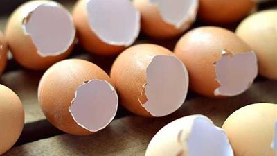 شاهد.. لهذه لأسباب لن تهدر قشر البيض بعد اليوم (فيديو)